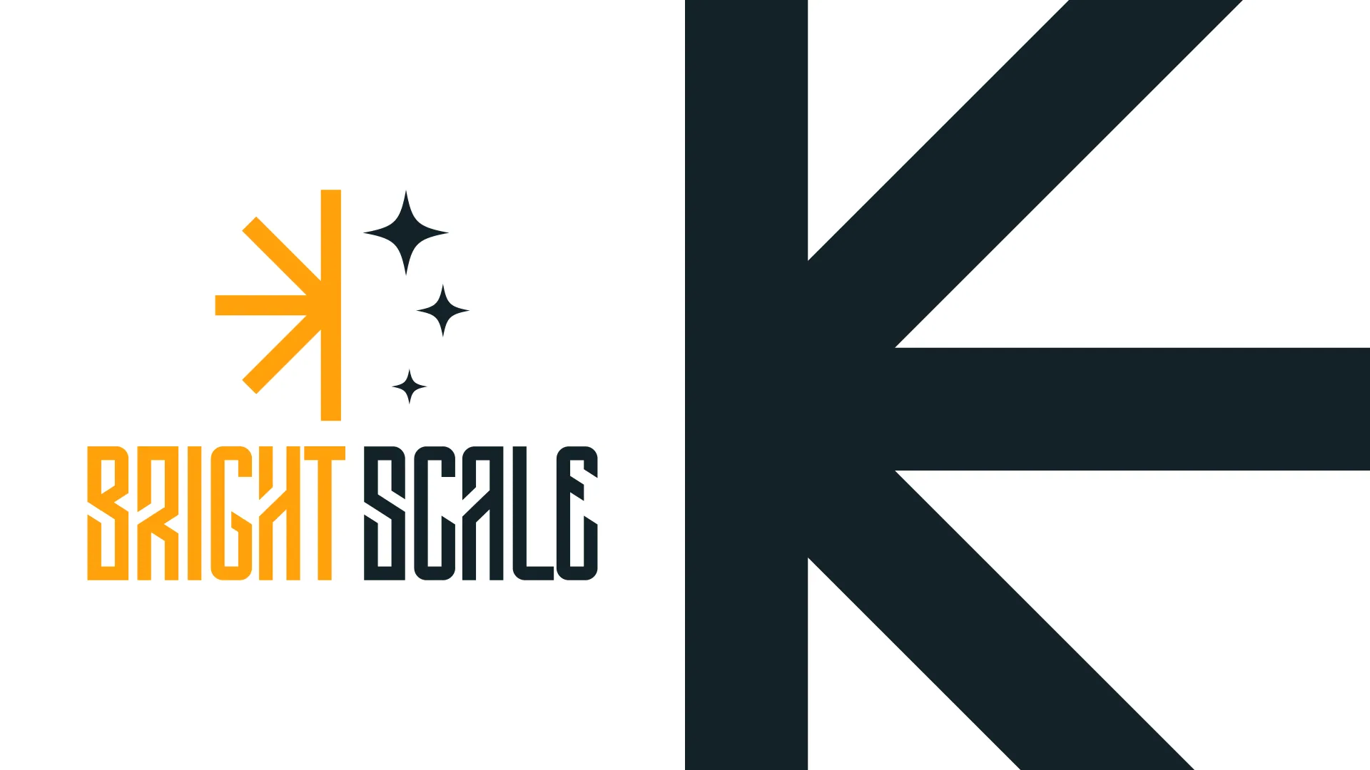 Bright Scale stacked logo and enlarged brand symbol