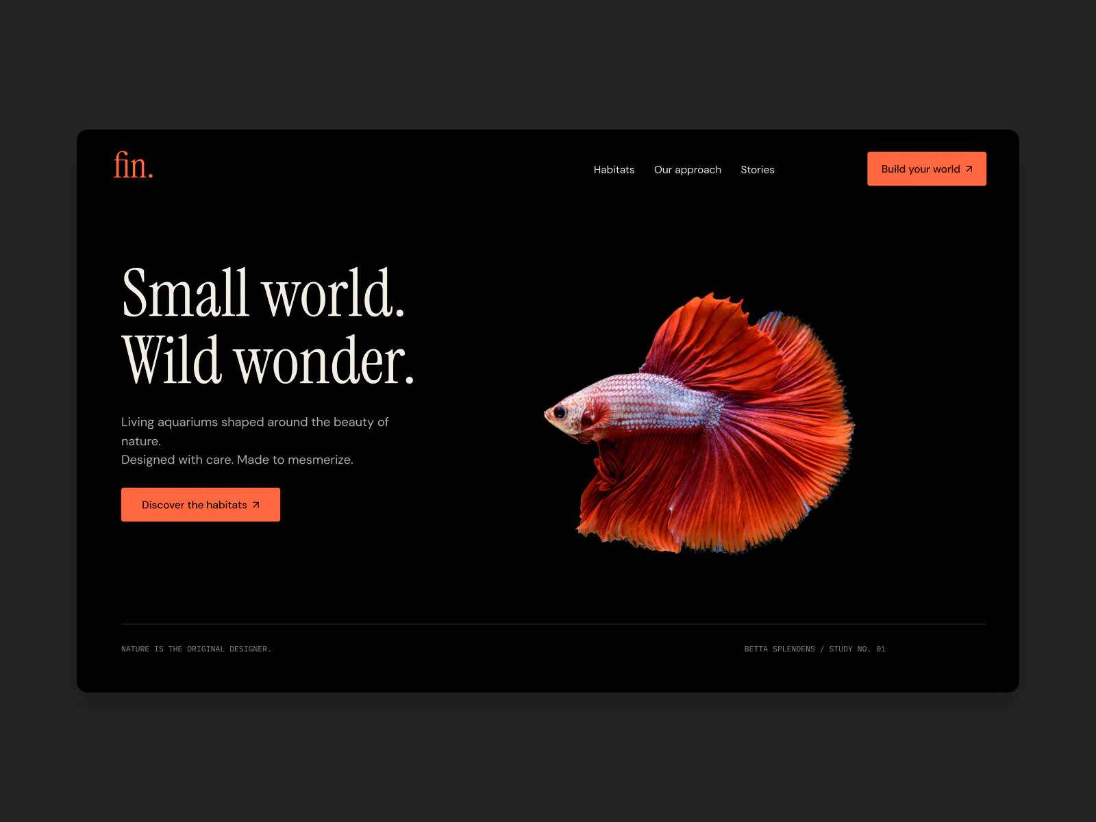Fin website hero concept designed by Fitim Beqaj