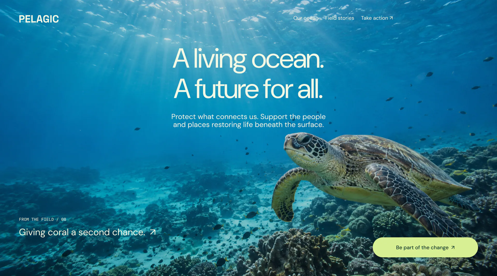 Pelagic ocean conservation website hero concept