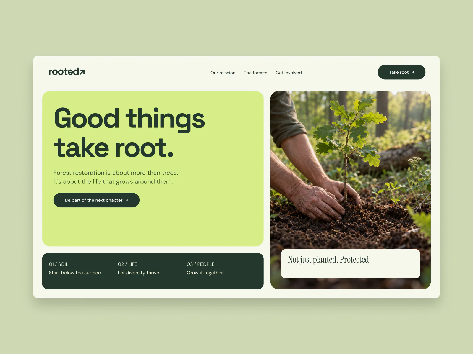 Rooted website hero concept designed by Fitim Beqaj