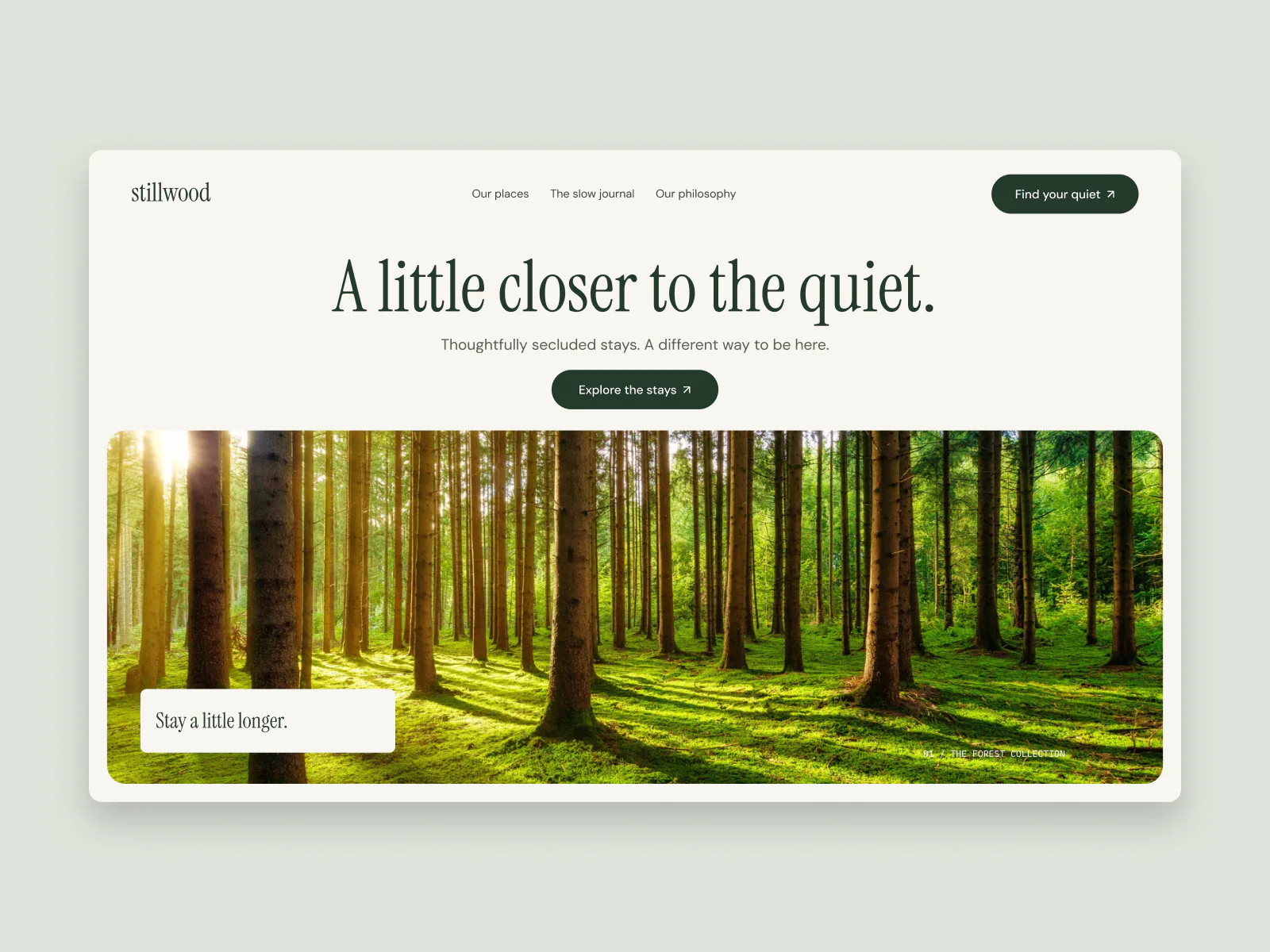 Stillwood website hero concept designed by Fitim Beqaj